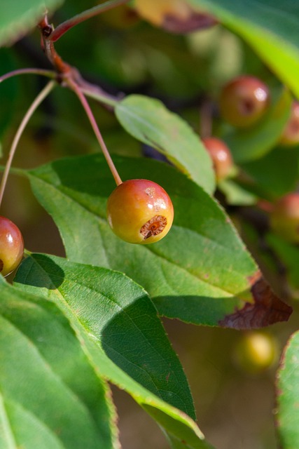 法国后卫朗克坦因酒驾+毒驾+无证驾驶造成事故，被判三年监禁