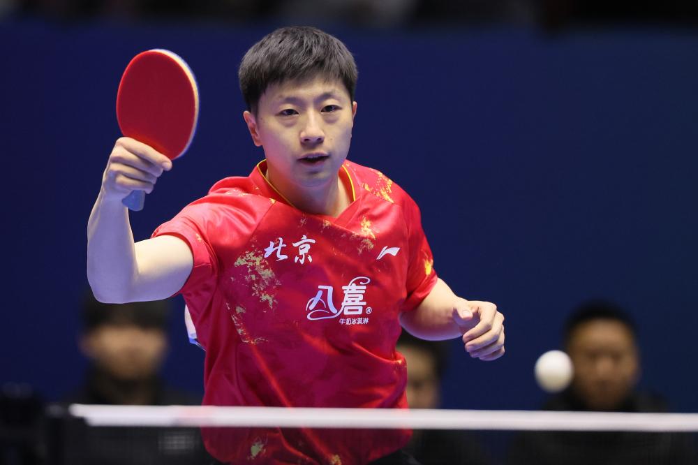 篮球篮网球迷线下活动吸引大量参与