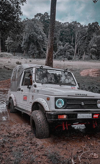 泰国归化前锋贝尔：若能让泰国首进世界杯将是意义非凡的事情